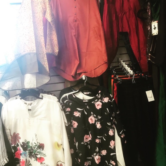 All collections - Picture 5 of 8